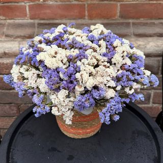 Композиція з сухоцвітів «Кермек»