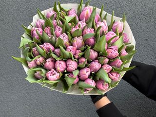 Лавандовий піоновидний тюльпан «Катінка»