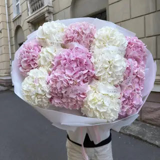Букет з 15 преміальних біло-рожевий гортензій