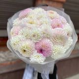 Букет з жоржин «Евеліна»