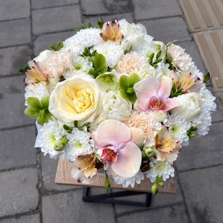 Преміальна композиція «Фаленопсис»