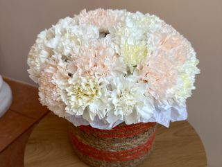 Композиція «Діантуси»