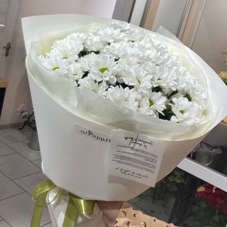 Хризантема в неймовірному кольорі