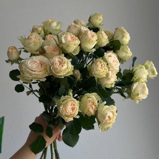 Троянда бежева 7 гілочок 