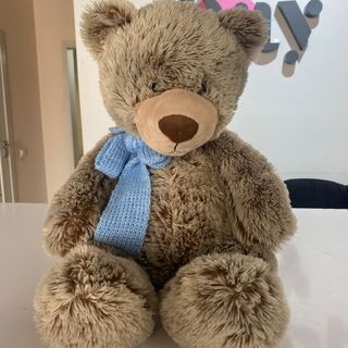 Мішка Топтик