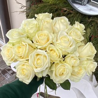 Троянда «Аванч», 1 шт.