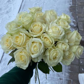 Троянда «Аваланч», 19 шт.