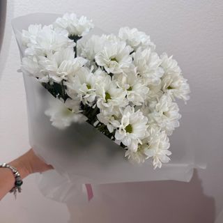 Біла хмаринка