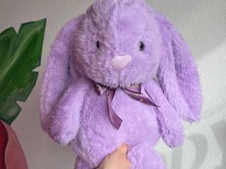 Лавандовий заєць