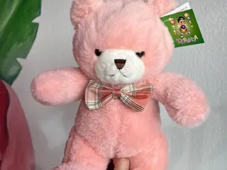Рожевий ведмідь