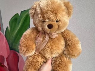 Ведмедик Михася