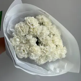 Букет з 17 гвоздик