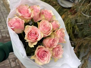 Букет з 11 рожевих троянд