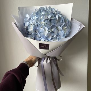 Блакитна гортензія