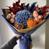 Екзотичний яскравий мікс