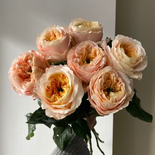 Монобукет еквадорських троянд