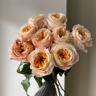 9 еквадорських троянд