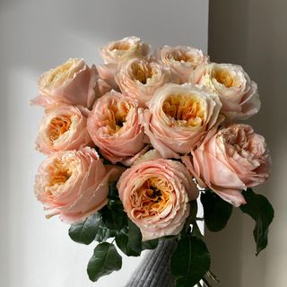 11 еквадорських троянд