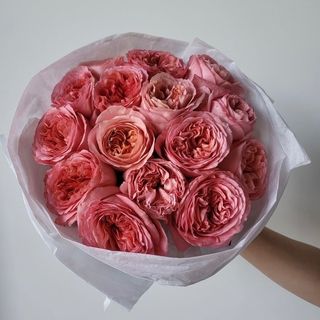 15 еквадорських троянд 