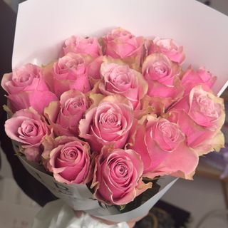 15 троянд Athena royalе