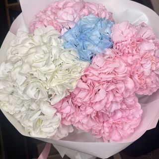 5 різнокольорових гортензій