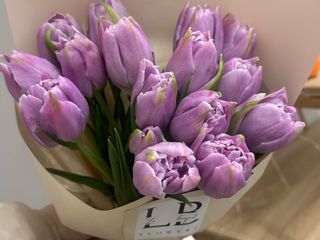 15 лавандових тюльпанів