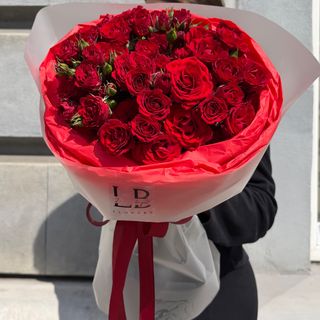 Червоні кущові троянди