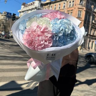 Мікс великих гортетензій