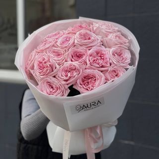 Троянда Pink O'hara M