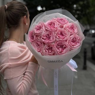 Троянда Pink O'hara S