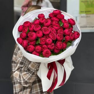 Троянда Cherry Trendsetter