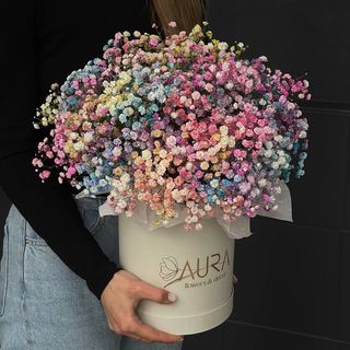 Гіпсофільний бокс