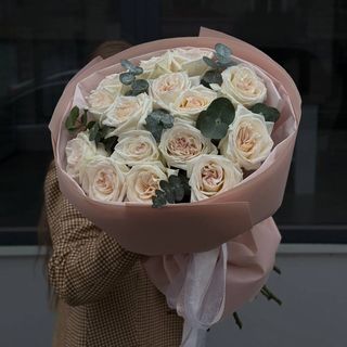 Троянда White O'hara