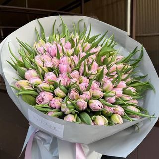 51 піоновидний тюльпан