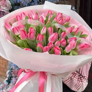 51 тюльпан з градієнтом