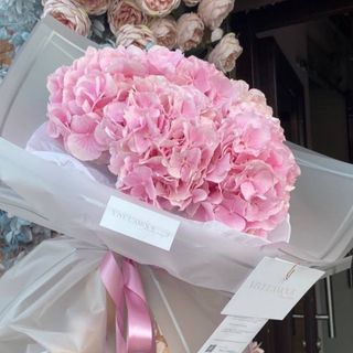 Нереальні рожеві гортензії