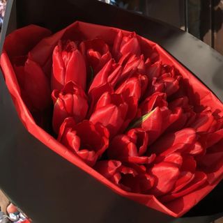 31 червоний тюльпан