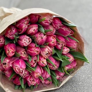 31 піоноподібний тюльпан