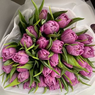 31 піоноподібний тюльпан