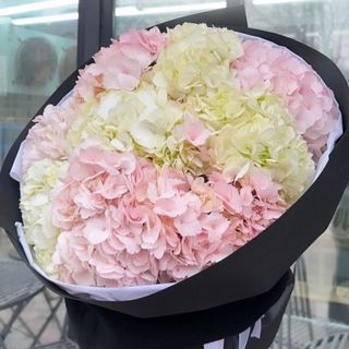 11 гортензій