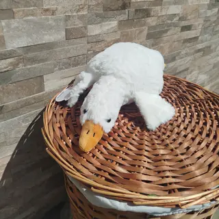 Гуска (менша) 