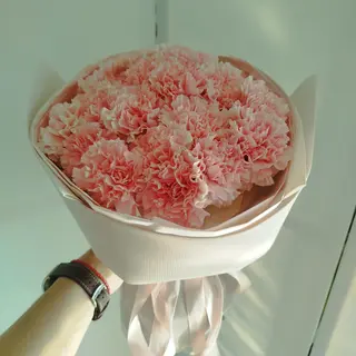 Букет з рожевих Діантусів (гвоздика) 19 шт