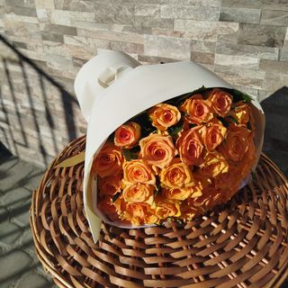 35 персикових троянд сорту Майті