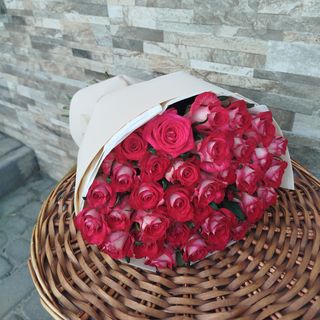 35 червоно-білих троянд сорту Олл Стар 