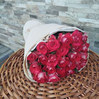 25 червоно-білих троянд сорту Олл Стар