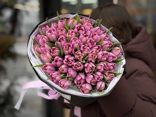 51 піоновидний тюльпан