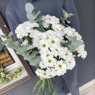 7 гілок РОМАШКОВИХ хризантем з евкаліптом