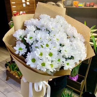 11 гілок РОМАШКОВИХ хризантем