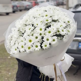 19 гілок РОМАШКОВИХ хризантем