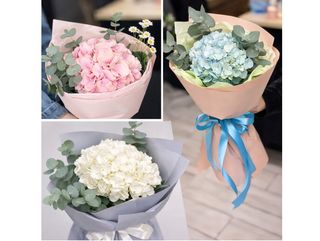 Гортензія (1 шт) в оформленні (Колір на вибір)